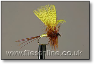 https://www.flyfishingencyclopedia.com/drake%20mayfly%20-%20yellow.png