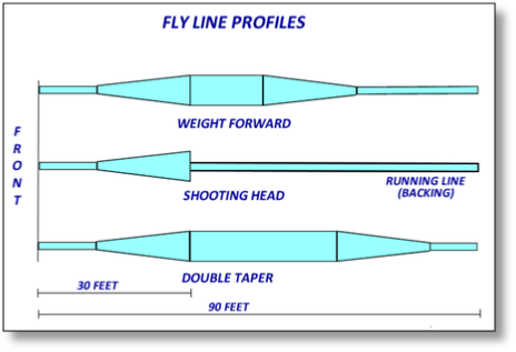 Fly Lines